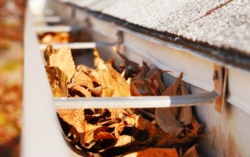 Norton Malreward gutter cleaning companies