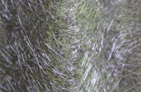 Norton Malreward fibreglass roof work